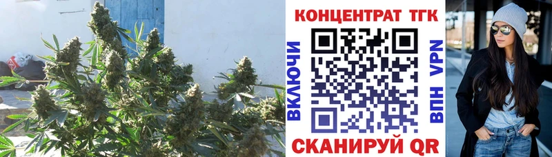 Дистиллят ТГК вейп  Очёр 